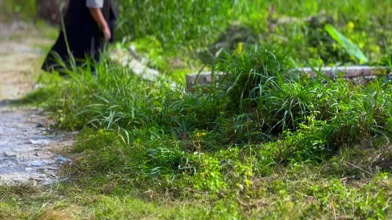 Your Boy's Cum: Gadis petani mesir dientot habis-habisan sama pria asing di ladang...