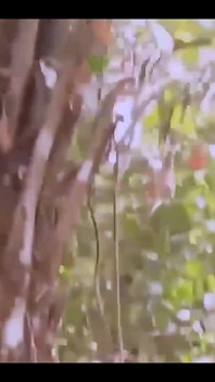 Safada Africana Gordinha Fez Sexo Com Seu Marido Motorista - Bush Hardcore De Quatro