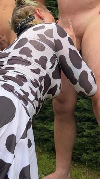 Lascia che la mucca da latte mugga