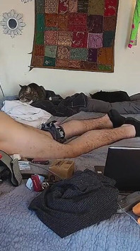 Hung jock solo làm tình với búp bê tình dục