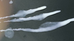 LolaCD: Sc032 - 25小时，2小时