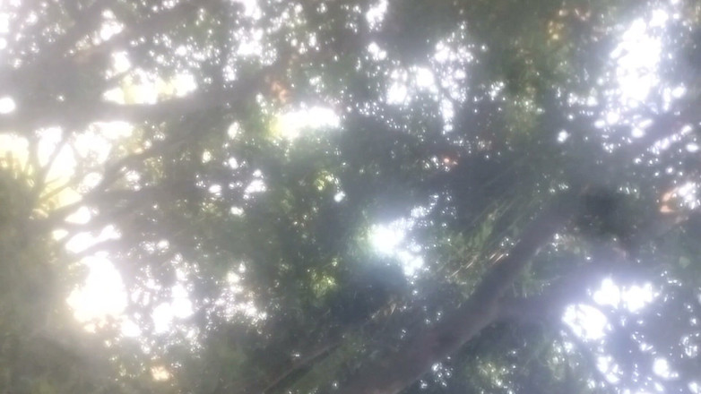 Salonibhabhi: Yang gay chico paja al aire libre