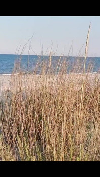 Couple Caught on Camera Having Sex on the Beach