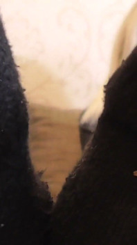 Anweisungen für stinkende socken!