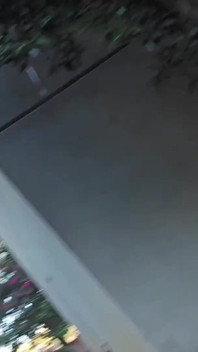 Showing My Ass in Public