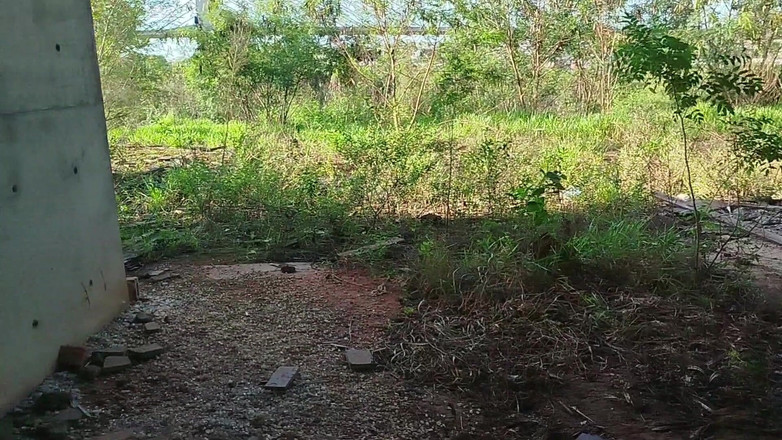 TheBlacKHunterr: Šel jsem se vyčůrat na staveniště a měl jsem chuť...