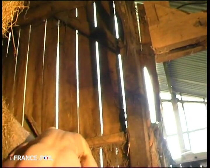 French Family Secrets: Eine nymphomanin, reiterin, gefickt wie eine schlampe im Strohbündel!