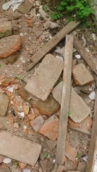 Fără chiloți în Ruine