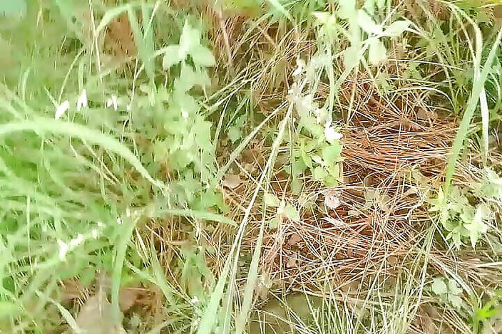 Gangbang straight: Pisse éjaculation par un coureur dans la jungle