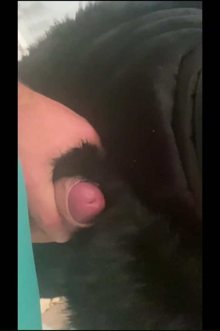 MilfyCalla: Aventurile lui MILFyCalla Ep 21 - O curvă a fost prinsă 2