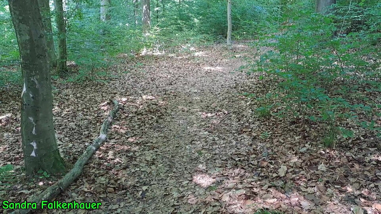 Sandra Falkenhauer: Dildo vystříkané v lese