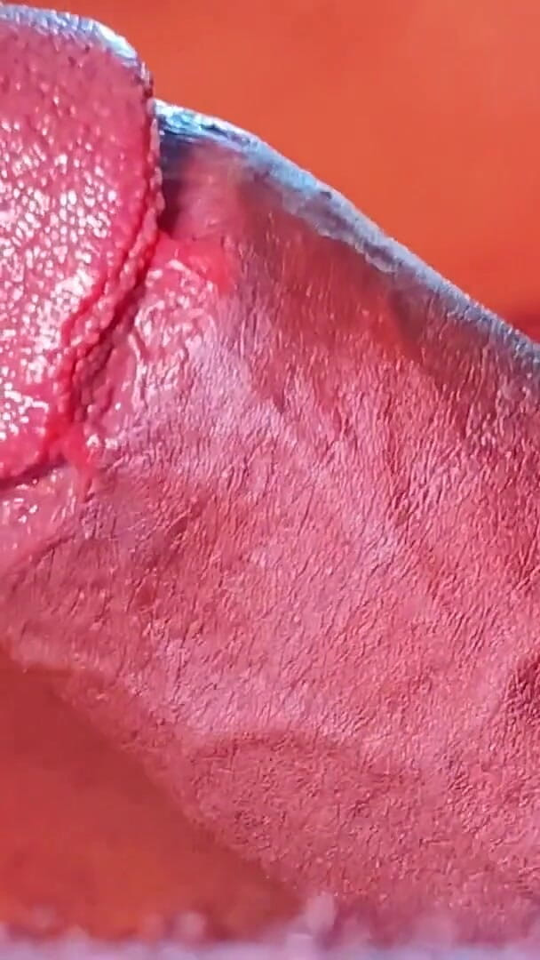 Best Blowjob, I Cumed in Her Mouth (Bongo XXX)