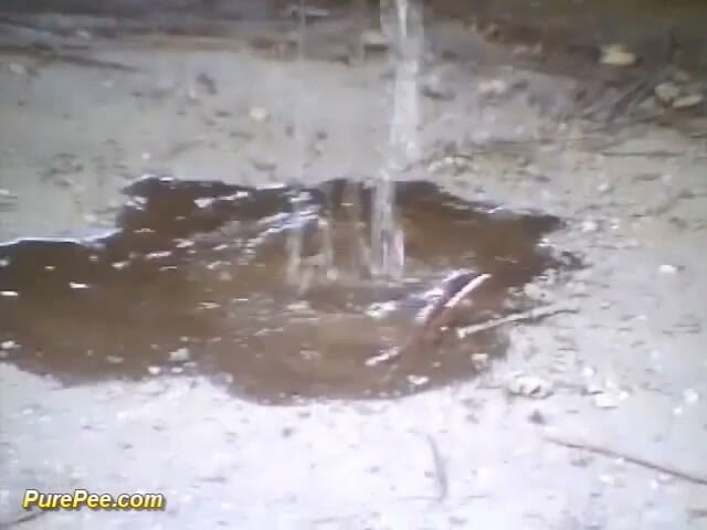 Pure Pee: 車からおしっこをする