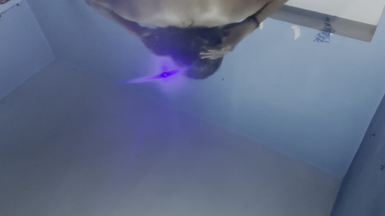 Sexy taniya ki Chut dekho or sexy pose bhi: Celé video čisté hindské audio skutečné domácí video