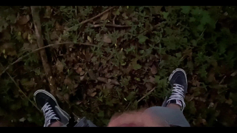 Monella2001: Una sega nel bosco