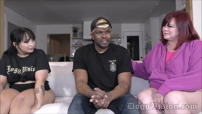 DoggVision: StepMother Knows Best