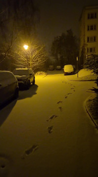 Walking on the Snow