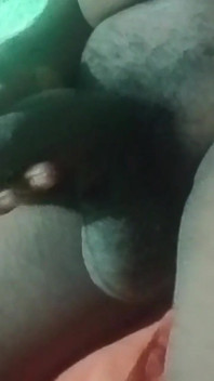 Cock Cock