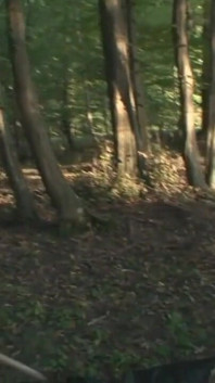 Demütigend hängend und anal in den wald penetriert