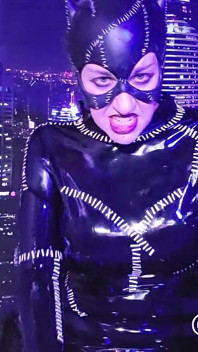 Catwoman Snatches a Robin Full Movie
