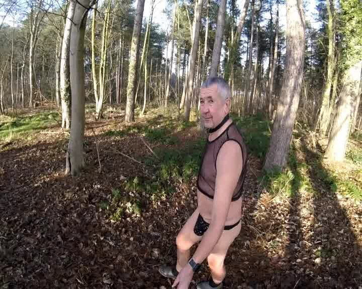Andy: Hari Sejuk Di Dalam Hutan
