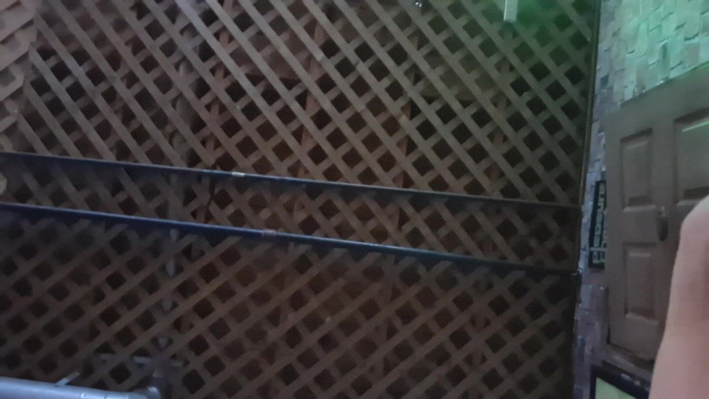 City hog: Vozdítko až po loket