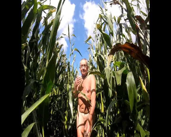 Andy: Кукуруза прохаживать