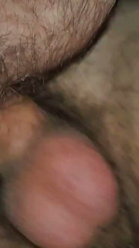 Experience with Bear Stepdaddy