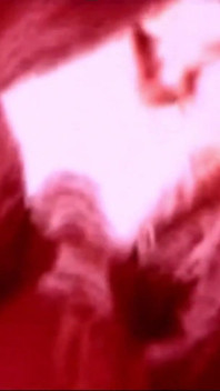 Anima Perversa