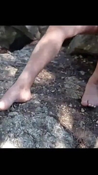 Moranguinho di hutan