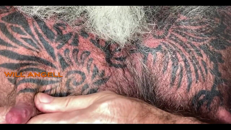 Will Angell: तैसा दूध