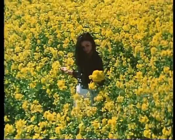 GERMAN PORN CLASSICS: Das Maedchen Des Herrn S - Grosser Klassiker
