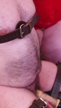 Milch und zwei