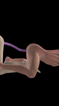 Animasyonlu 3 boyutlu porno - güzel kız takma yarak Asyalı adamla sikişiyor sonra çift dildo domaltıyor