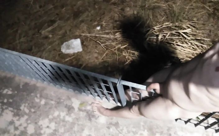 Dan Eagle: Bugil dan mainin memeknya yang lagi kencing di depan umum