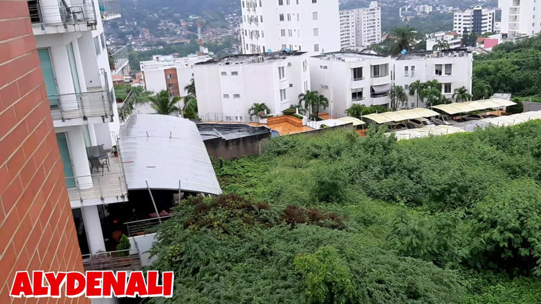 Aly Denali: Сводный брат моей подруги сосёт мне киску