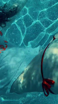 Join Me in the Pool, on My Mv Crush