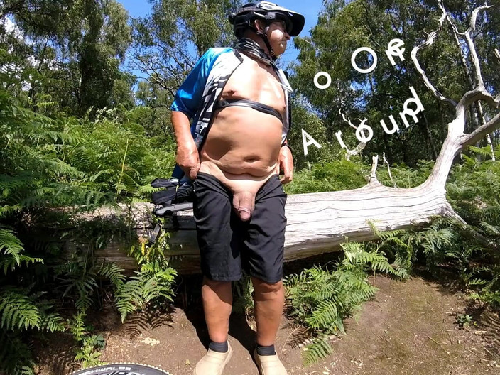 Andy: Đi bộ 43 2025