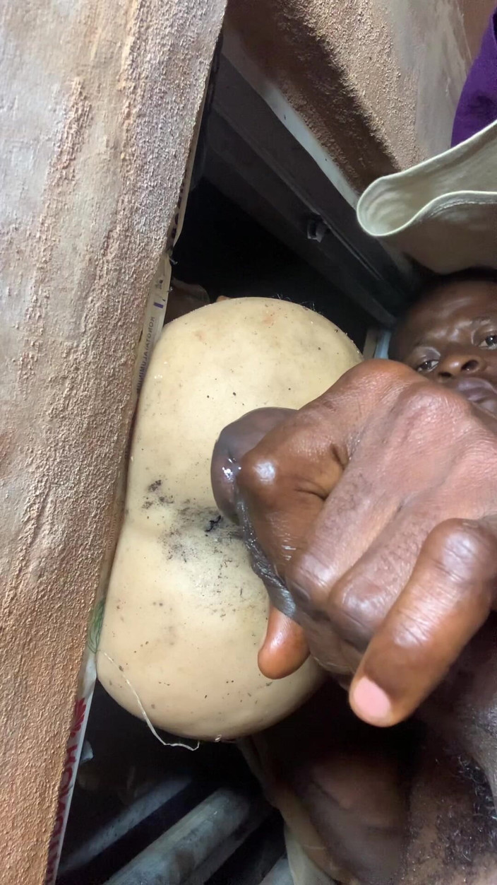 Bangcum8: Laisse-moi baiser cette grosse salope si sexy en entendant mes...