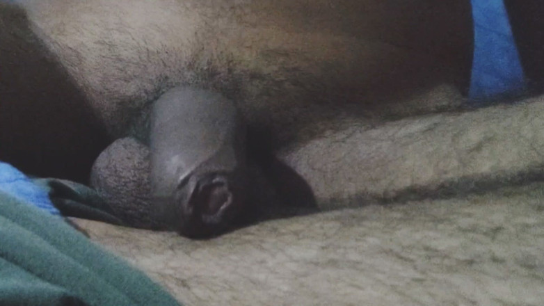 Robbie Dog: Indisk desi kille kuk för Alla hjärtans dag special
