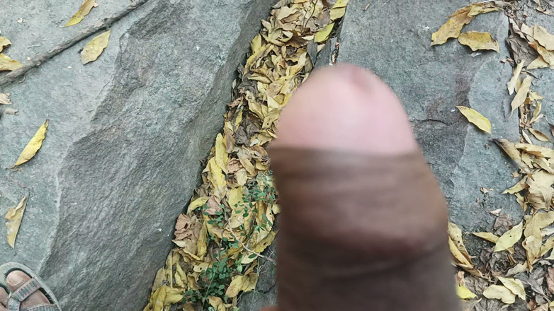 Suthavillagexxx: Тамільський хлопець мастурбує в лісі