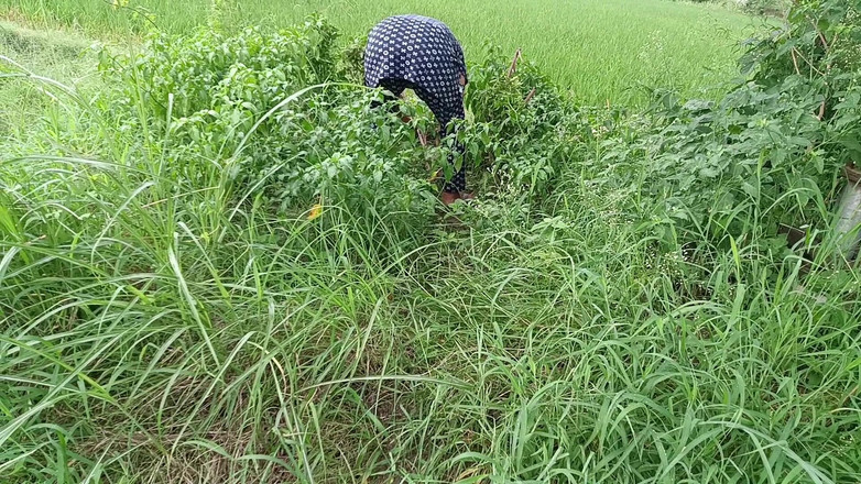 MHM: Video seks terbaik di luar ruangan
