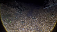 Putarankahotmilf: Şimdiye kadarki en çılgın egzersiz ve taytımı yırtıyor