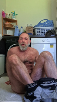 Hairy Bear Doing Laundry