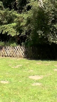 My stepsister loves to fuck outdoor