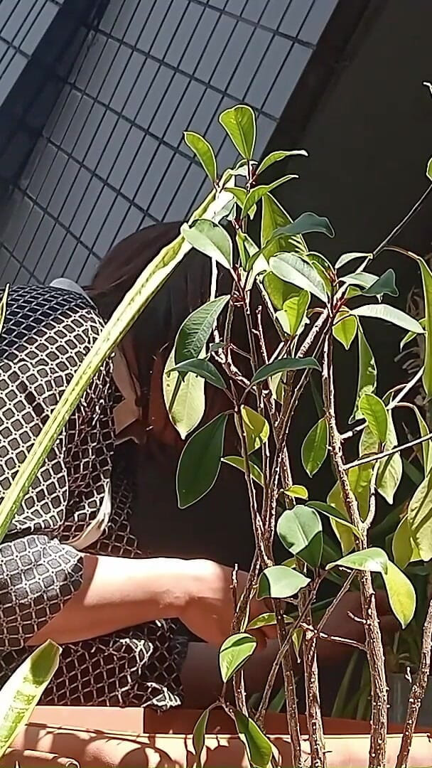 I Pee in the Potted Plant Again (Mayumi Kanzaki)