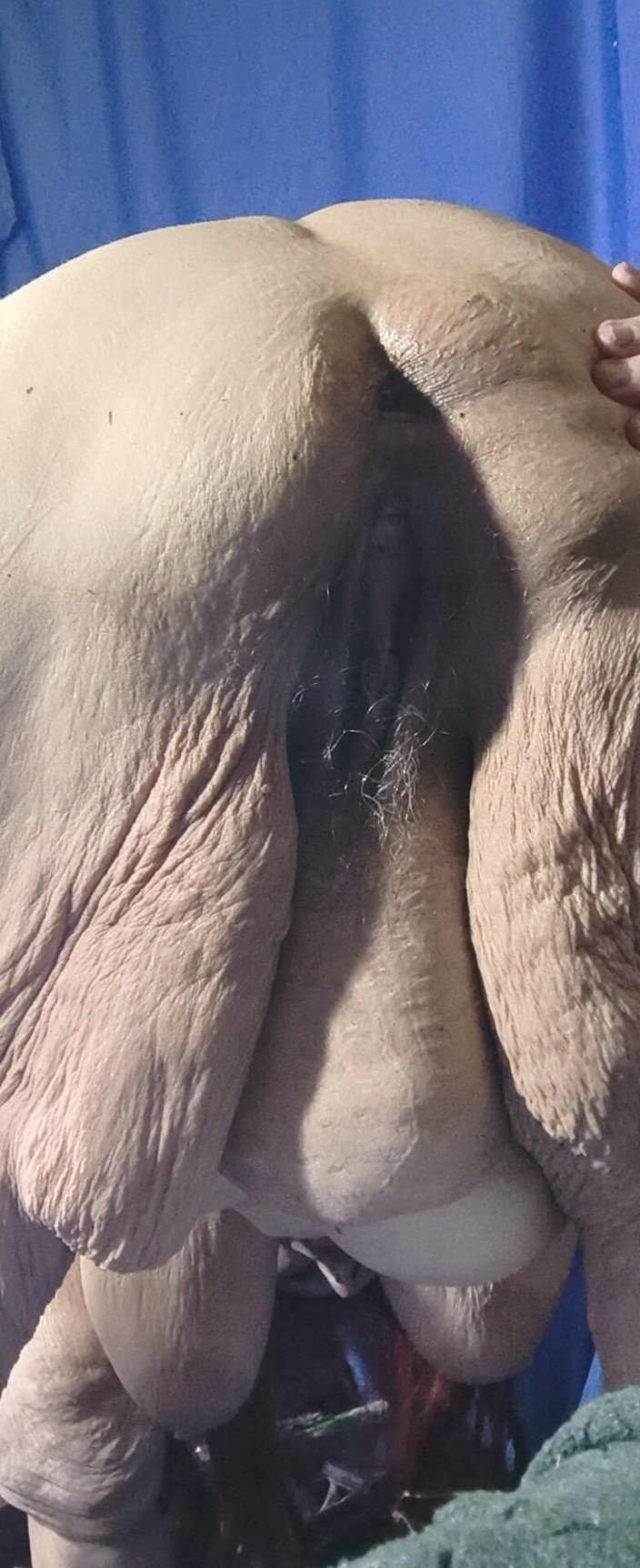 HerculesnVENUS: Flying to the Moon Tits Bouncing in the Room