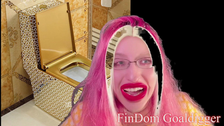 FinDom Goaldigger: Transformasi toilet emas