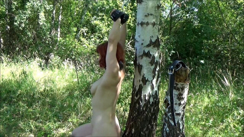 Sex and BDSM Slaves by her Master: Used in the Park by my Masters Part 1