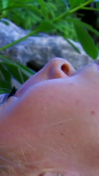 Hot Latina's, Asian's and other babes and MILF's in a dirty ass fuck session video -DVD-
